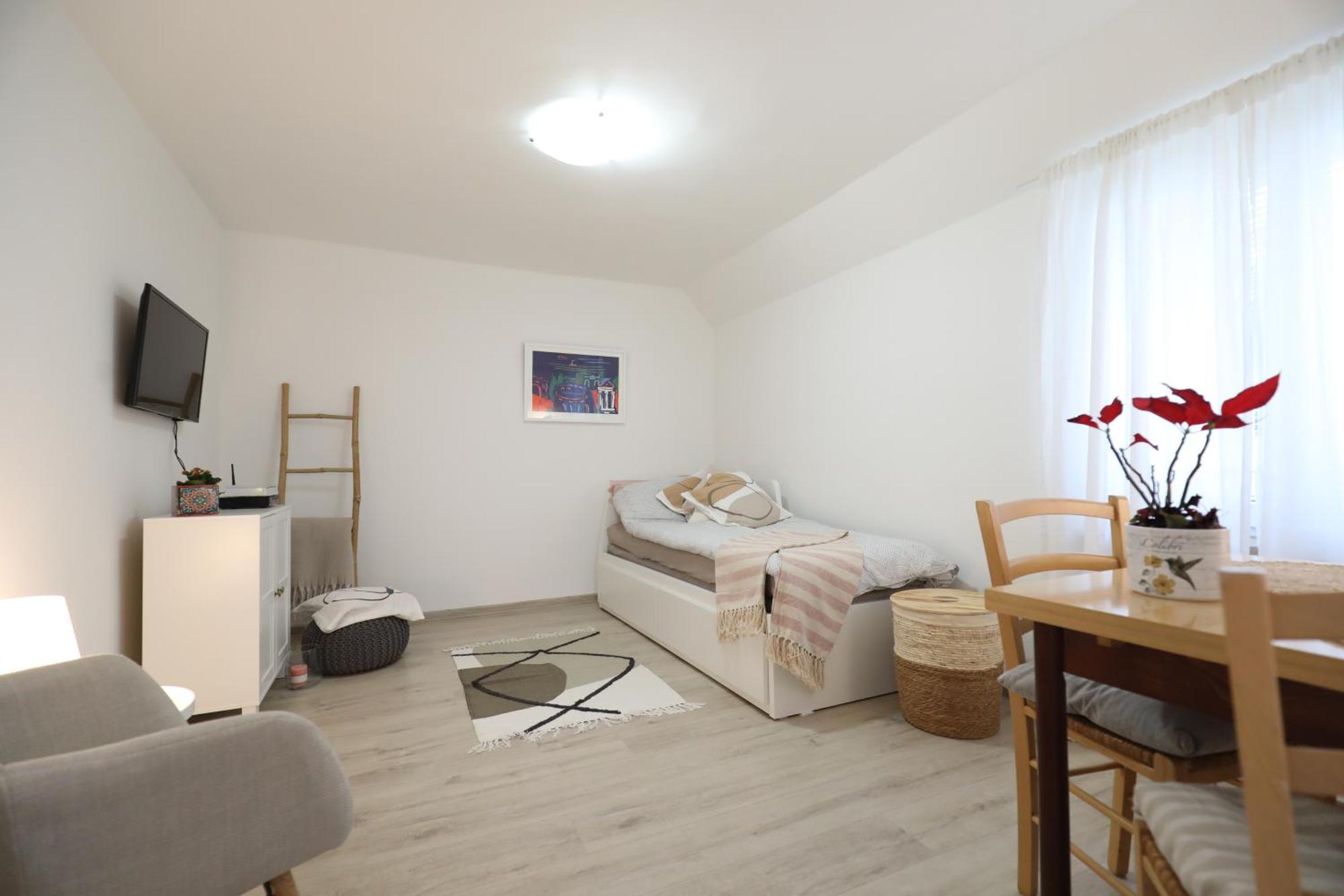 Apartment Mir PUY Eksteriør bilde
