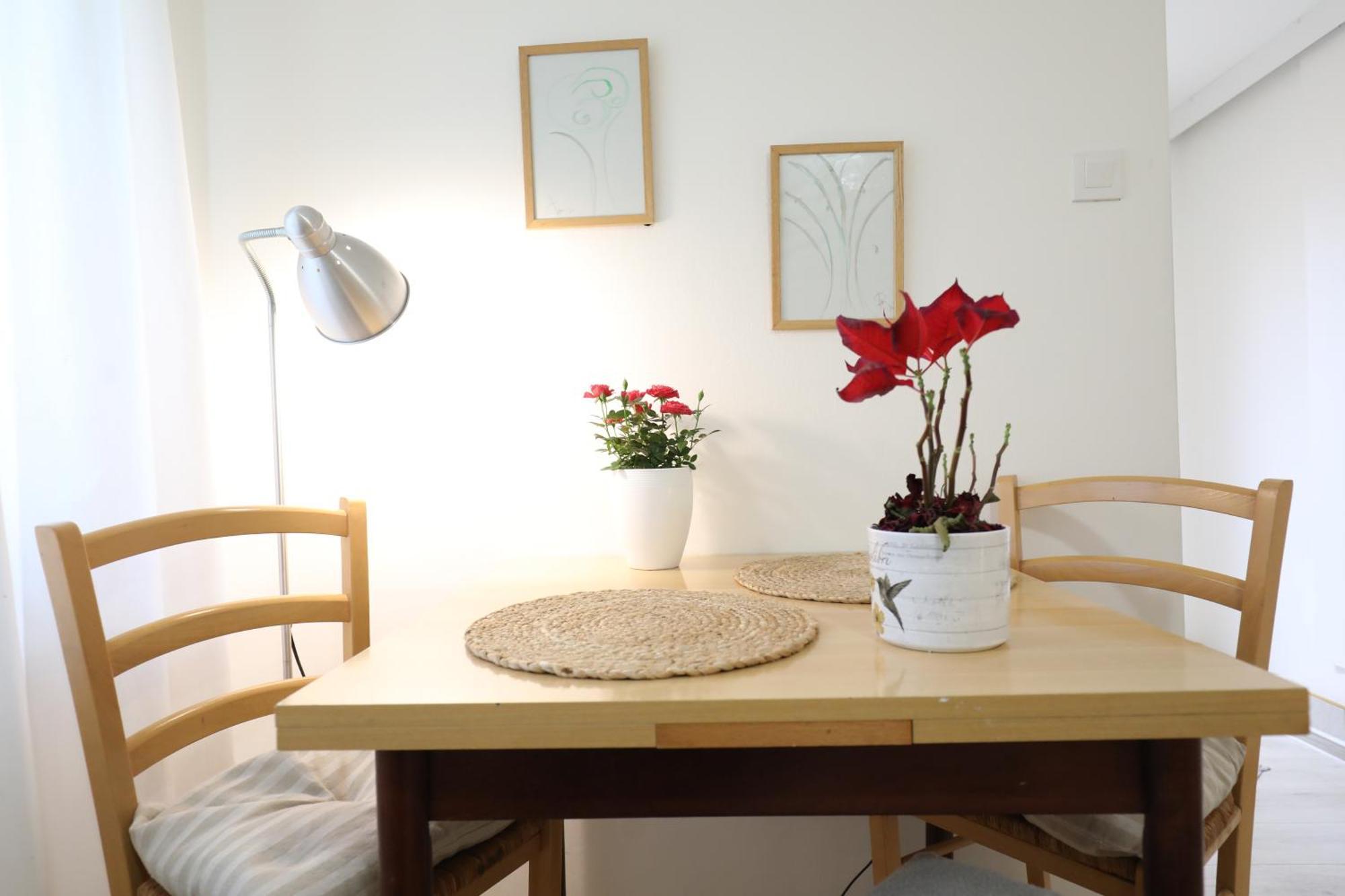 Apartment Mir PUY Eksteriør bilde